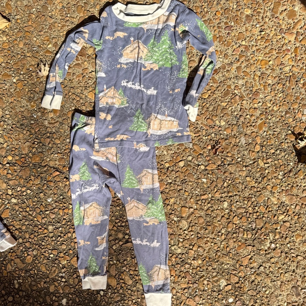 Burt's Bees winter PJ set 3t and 5t